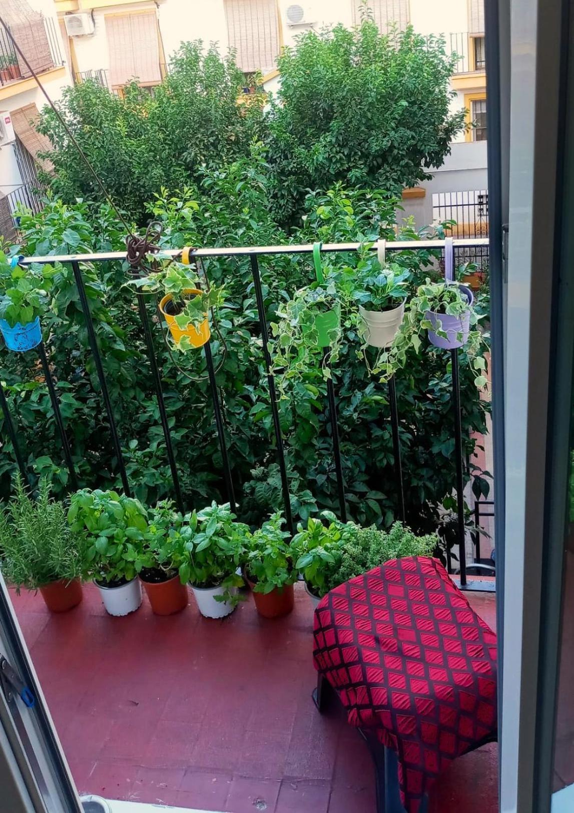 Roberta'S Guest House Севилья Экстерьер фото